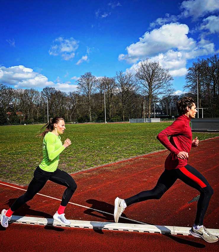 loop training schema